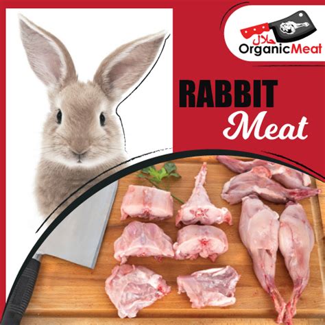 Rabbit Meat Price